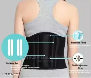 Bwell Lumbar Waist Support