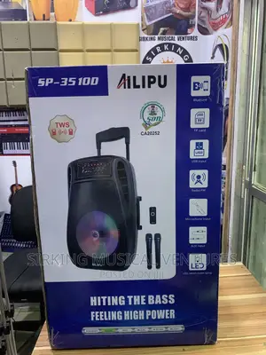 15” PA System With With Bluetooth And Usb And 2wireless Micr