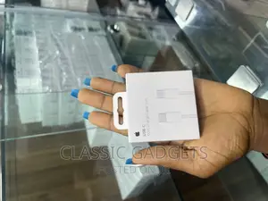 60w Type-C to C Fast Charging Cable for iPhone 15 Pro Max