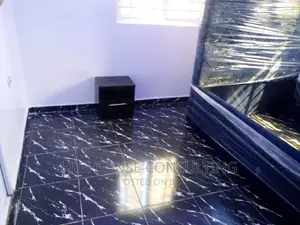 Exceptional Janitorial Services Expert for You in Ibadan
