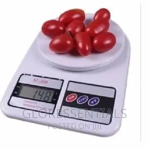 Electric Kitchen Scale