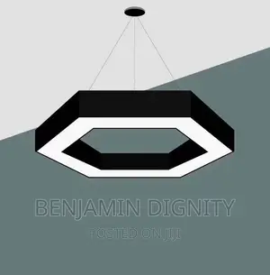 Led Linear Drop Light
