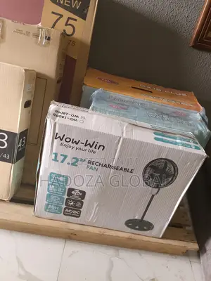 Efficient Wow-Win 17.2'' Rechargeable Standing Fan