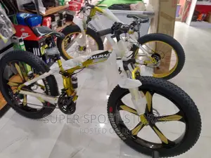 Affordable Fat Tyre Bike
