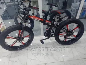 Fat Tyre Giant Bicycle