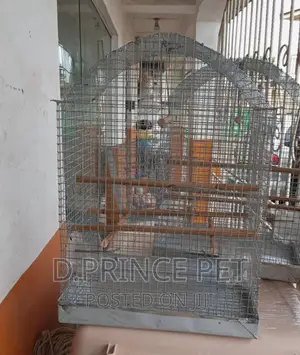Bird Strong Local Cage