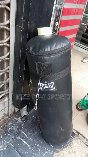Everlast Boxing  Punching Bag