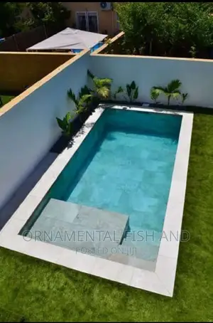 Swimming Pool Construction