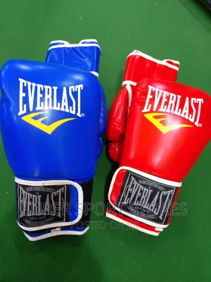Everlast Boxing Gloves