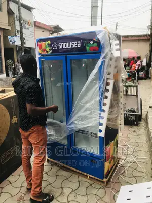 Snowsea 2 Doors Side by Side Showcase Chillers Lc-655