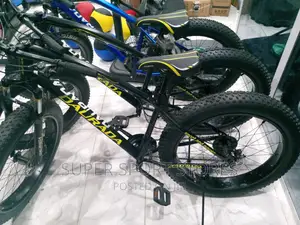 Fat Tyre Bicycle Machine