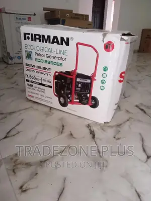 Affordable Firman Generator-Eco 8990es