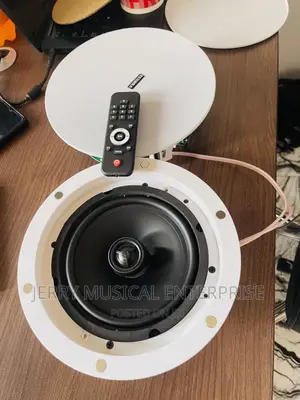 2in1 Bluetooth Speaker Ceiling Speakers With Remote Control
