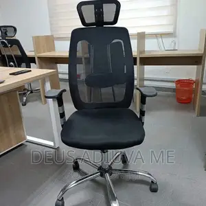 Ergonomic Office Chair