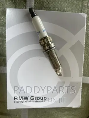 BMW E90 Spark Plug (Germany Standard)