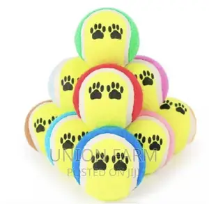 Dog and Cat Toy Ball