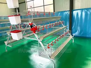 Imported Poultry Cages