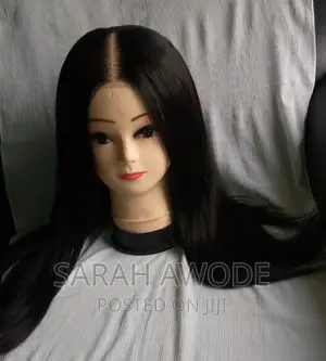 22 Inches Straight Wig Blend