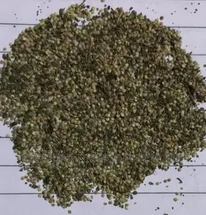 Stinging Nettle Organic Seeds (Urtica Dioica) 50g
