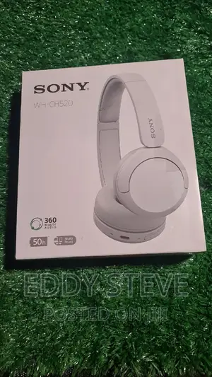Sony WH-CH520