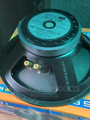 G12inches SBI Naked Speaker