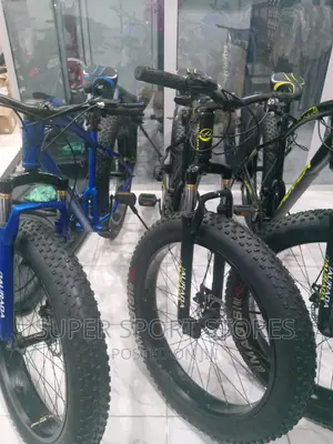 Quality Fat Tyre Bike