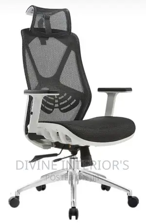 Office Net Chair