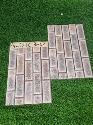 Bricks 2024