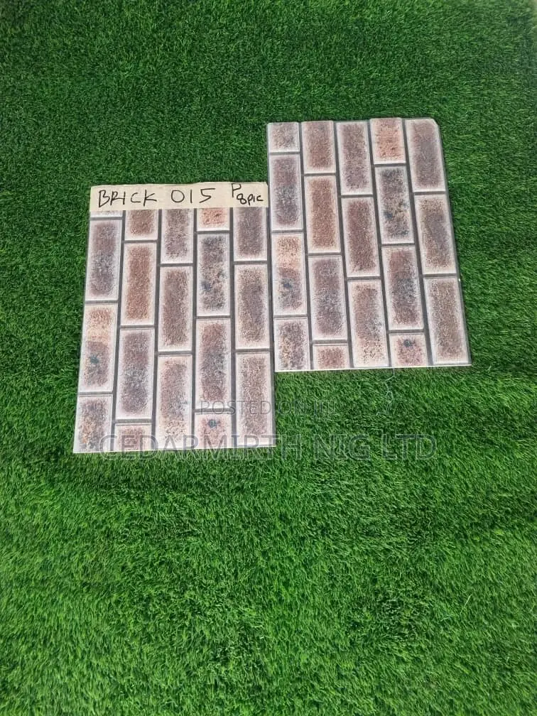 Bricks 2024