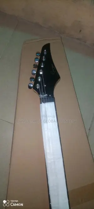 Singer Electric Guitar