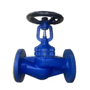 Spirax Sarco Globe Valve (Original)