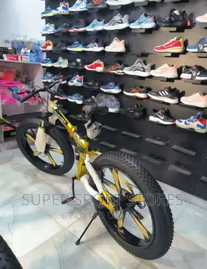 New Fat Tyre Bike