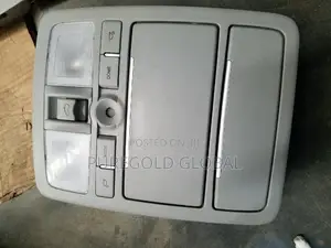 Roof Interior Light for Vera Cruz