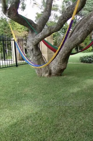 Artificial or Synthetic Grass