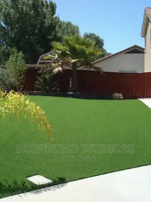 Carpet Grass