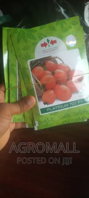 Hybrid Tomato (Platinum, Diva, Cobra, Padma)
