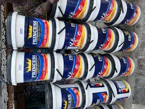 Original Princess Paint 20L