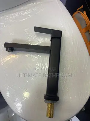 Matte Black Basin Tap