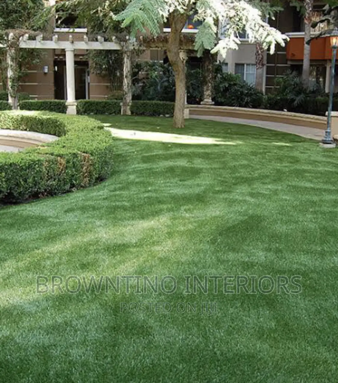 Carpet Grass