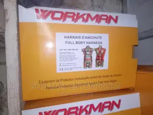 Workman Safety Belt