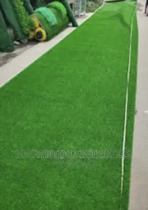 Carpet Grass