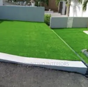 Carpet Grass