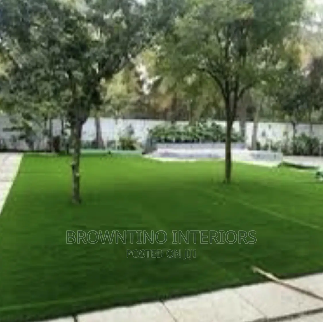 Carpet Grass