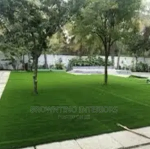 Carpet Grass