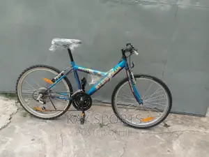 Stat Team Teenager Sport Bicycle