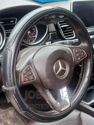 GLE350 2018 Brown Colour Steering Wheel