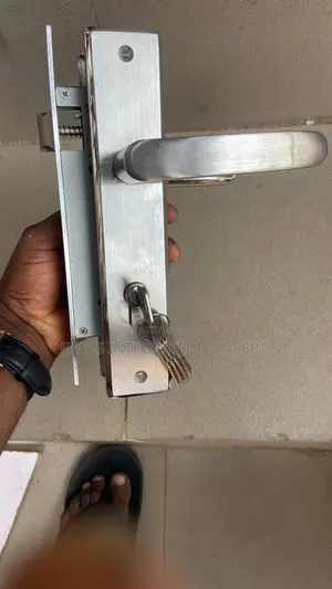 Pure 304 Grade Stainless Door Lock Set