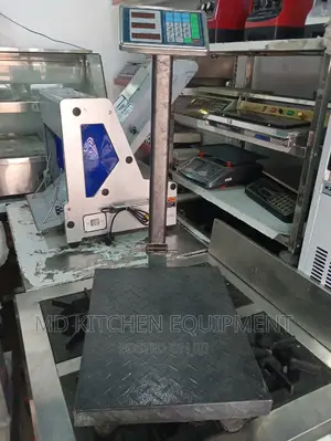 100kg Camry Scale