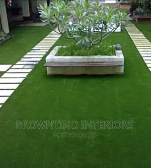 Carpet Grass