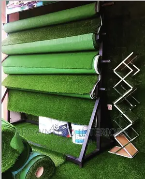 Carpet Grass